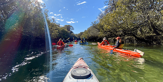 Adventure Kayaking SA Dolphin Sanctuary & Ships Graveyard - Adelaide Adventure Hub