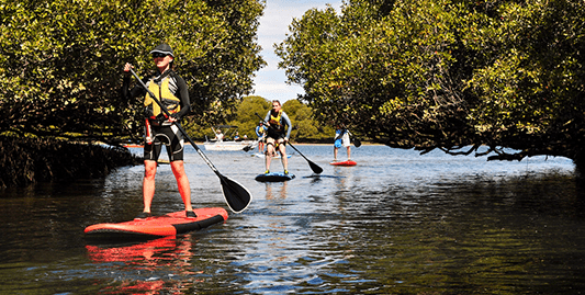Adventure Kayaking SA Stand Up Paddleboard Experience - Adelaide Adventure Hub