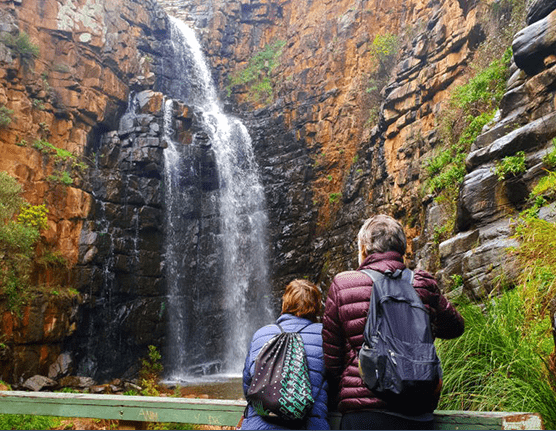 Pure SA Waterfall Gully to Mt Lofty Hike - Adelaide Hills Adventure Hub