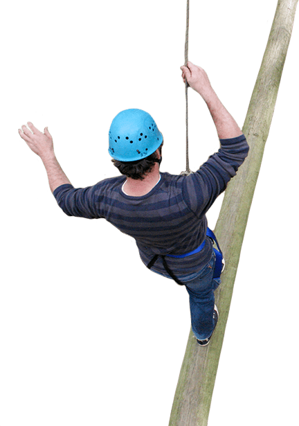 mount lofty adventure hub high ropes image